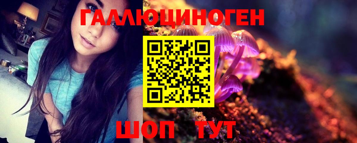 Ачхой-Мартан  Галлюциногенные грибы GOLDEN TEACHER  Вход с VPN 